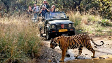 Ranthambore Jeep safari Booking 