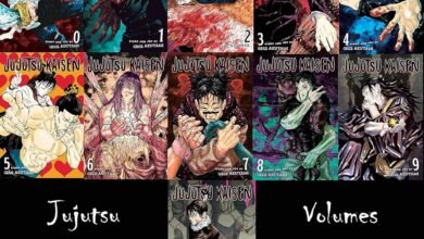 Naruto Manga Box Set