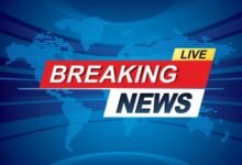 Cg Latest Hindi News