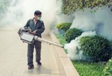 Jaipur Mosquito Control Services
