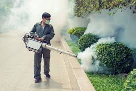Jaipur Mosquito Control Services