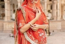 Rajputi Poshak for Women