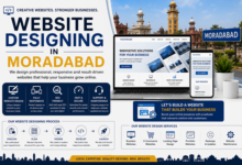 Website Designing in Moradabad