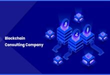Blockchain Consulting Services