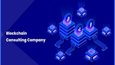 Blockchain Consulting Services
