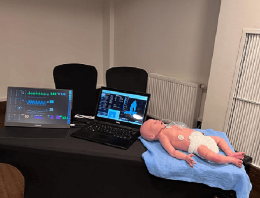 Neonatal Patient Simulator